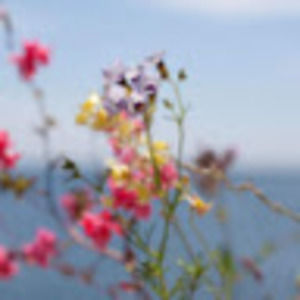 Meet your Posher, Arcelia